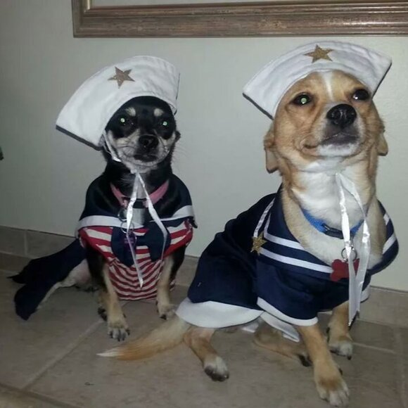 Kristijohnso331 Like this listing to be notified when I go live.@kristijohnso331 - Picture 9 of 10